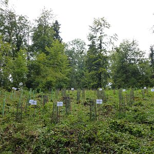 P1040016