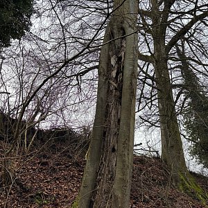 IMG 3555