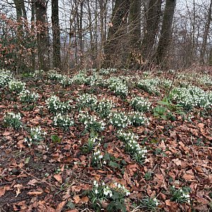 Naturschutzaufgaben
