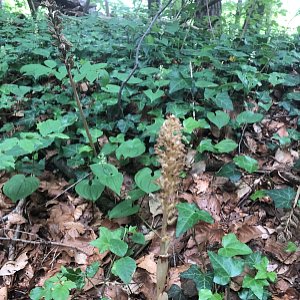 NaturschutzBild1