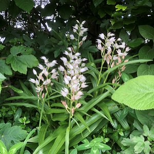 NaturschutzBild2