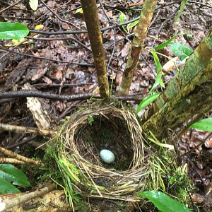 NaturschutzBild9