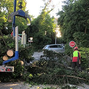 SpezialBild10 cut